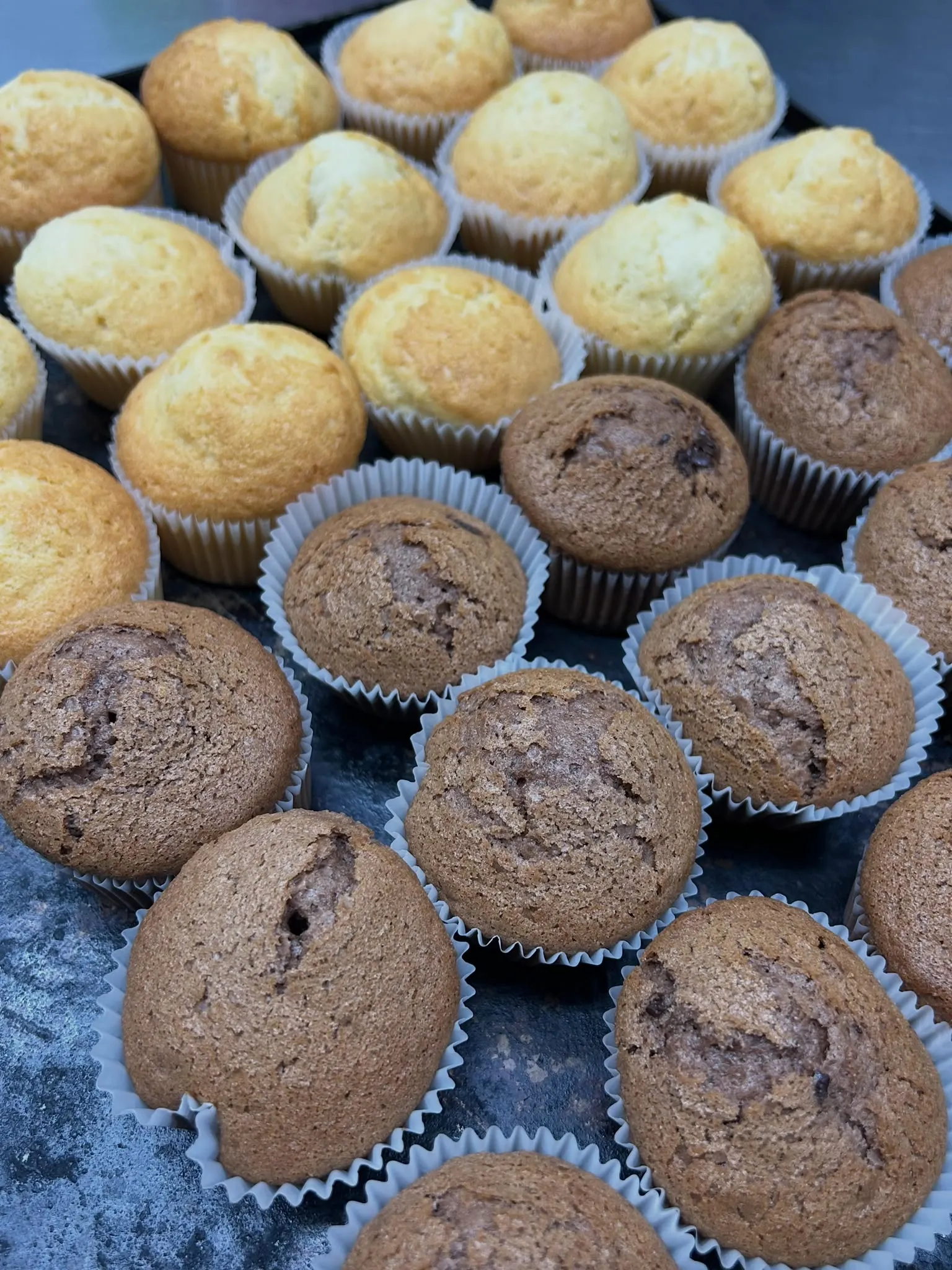 Magdalena clàssica i de xocolata amb xips de xocolata negra